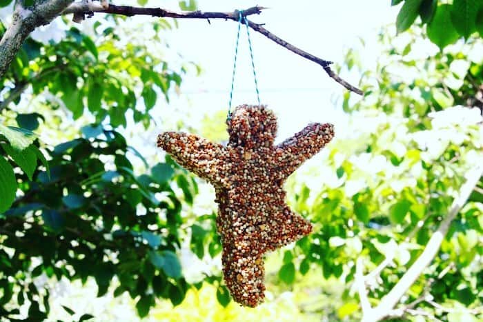 Bird feeder project on our blog!